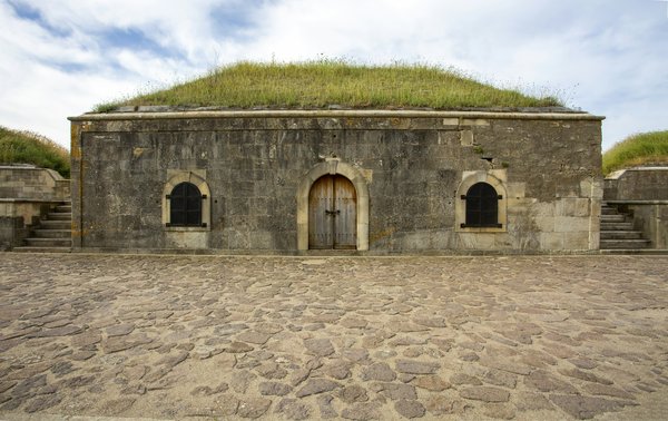 Quels sont les meilleurs endroits pour filmer un documentaire sur la biodiversité en milieu urbain?